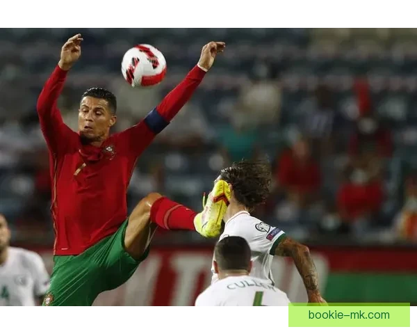 世界杯足球竞猜入口全新指南助你轻松掌握赛场胜负预测技巧